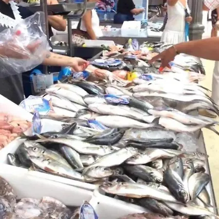 Tonay Sol 7d * ブアルコス