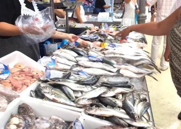 Tonay Sol 7d * Buarcos